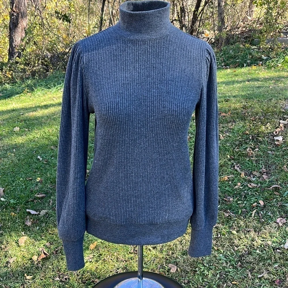 J. Crew crew turtleneck
